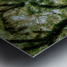 Unexpected Charms: Yuhlee Sugar Plantations Tranquil Oak Haven in Florida Impression metal