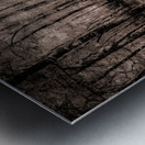 Cypress Shadows at Dawn Metal print