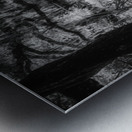 Forest Swing Impression metal