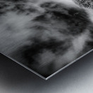 Together Metal print