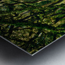 Oak Arches Metal print