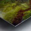 Ancient Oaks Dream Metal print