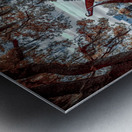 Twisted Twins Metal print