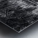 Southern Sentinel Metal print