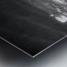 Gloomy Dock Metal print