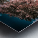 Fantastical Foliage: Silver Springs State Park Metal print