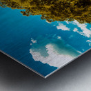 Majestic Oak: Exploring Ocalas Enchanting Back Roads Metal print