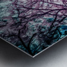 Whispers of Wonder: Navigating the Mystical Labyrinth in Shalom Park Ocala Florida Metal print