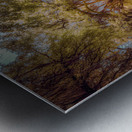 Mustard Labyrinth Metal print