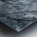 Spanish Moss Promenade Impression metal