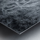 Selenium Boardwalk Metal print