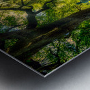 Labyrinth Architect Metal print