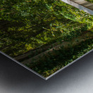 Green Boardwalk Metal print