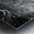 Olive Promenade Metal print