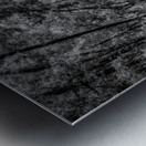 Florida Dirt Road Metal print