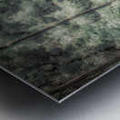 Forests Winding Welcome Metal print