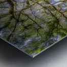 Peaceful Garden Metal print