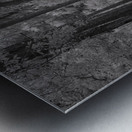 Shadows of Bulow Metal print