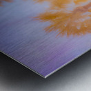 Enchanting Saint Augustine: Palm Trees Aglow with Christmas Magic Metal print