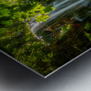 Short Falls in Florida Metal print