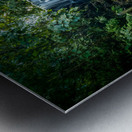 Florida Falls Metal print