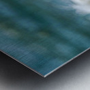 A Walk on the Beach: Capturing Serenity with a Seagull on Virginia Beach Impression metal