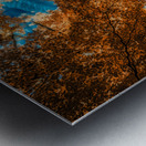 The Cardinal Guardian Metal print