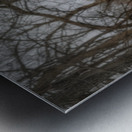 Natures Twisted Remnant Metal print