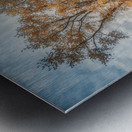 Surreal Pastures: Maryland Horses Metal print