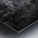 Woodlands Hidden Cabin Metal print