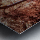 Unveiling the Mysteries of Brooms Island:  Forgotten Metal print