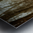 Woodlands Ancient Path Impression metal