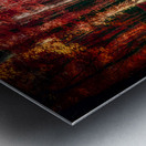 Red Swamp Walk Metal print