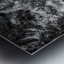 Shadows Path Beckons Metal print