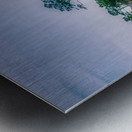 Manteo Pirate Ship Metal print