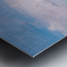 Fishing for Birds Metal print