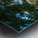 Garden Statue - 3 Metal print