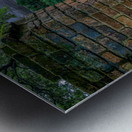 Elizabethan Time Metal print