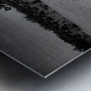 Jockey Ridge Branch Metal print