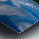 Marshland Tranquility: A Glimpse into Bodie Islands Outer Banks Beauty Metal print