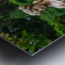 Garden Statue - 5 Metal print