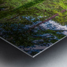 Queens Garden Sentinel Metal print