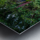 Footpath Metal print