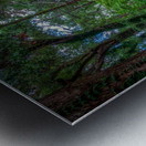 Garden Path Metal print