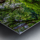 Exploring the Enchantment: A Journey through Elizabethan Gardens in Manteo North Carolina Impression metal