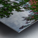 Crepe Myrtles Pathway Impression metal