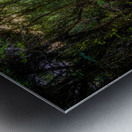 Labyrinth Metal print