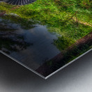 Queens Garden Reverie Impression metal