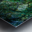 Garden Tapestry: A Walk Through Natures Beauty Metal print