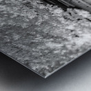 Monochrome Serenity: Exploring Yorks Riverside Beauty Metal print